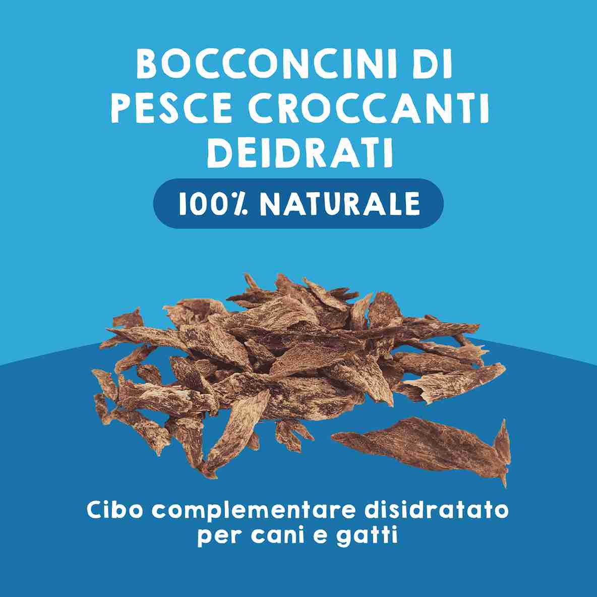 Premietti naturali di pesce disidratato per cani e gatti come snack