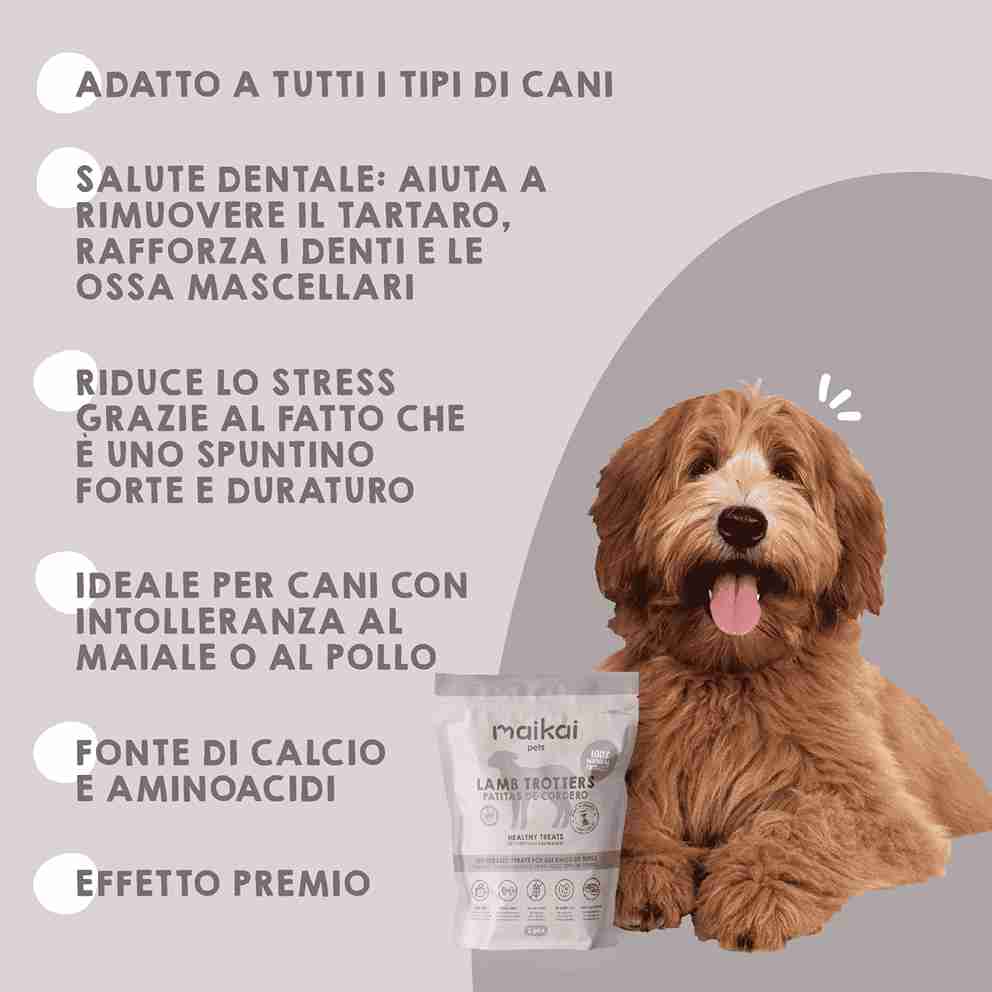 Premietti naturali di zampette di agnello per cani