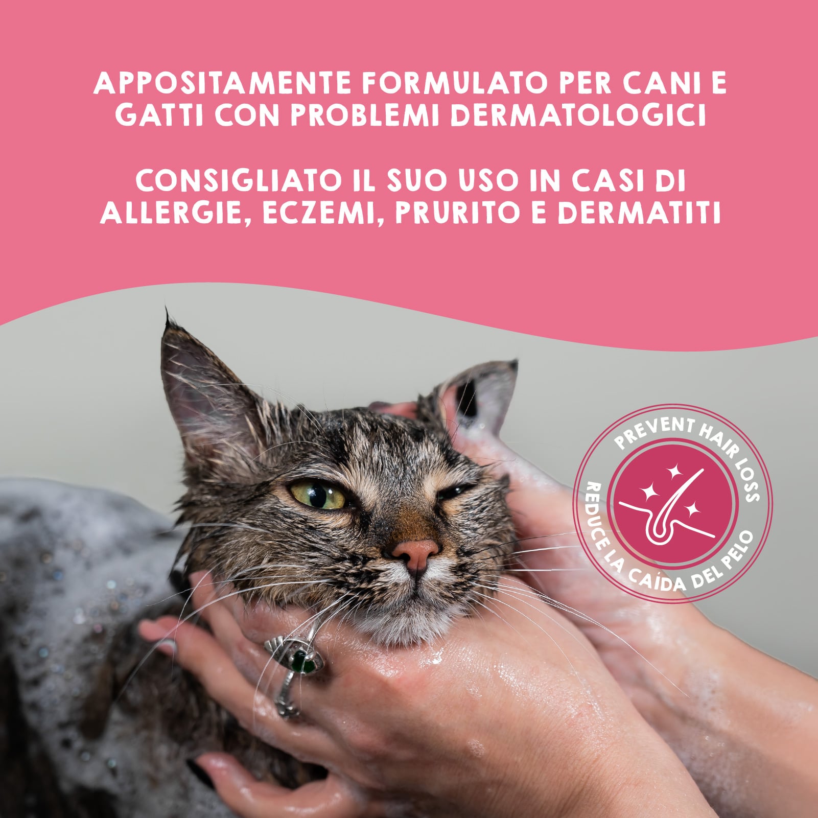 Shampoo per cani con pelle sensibile e dermatite.