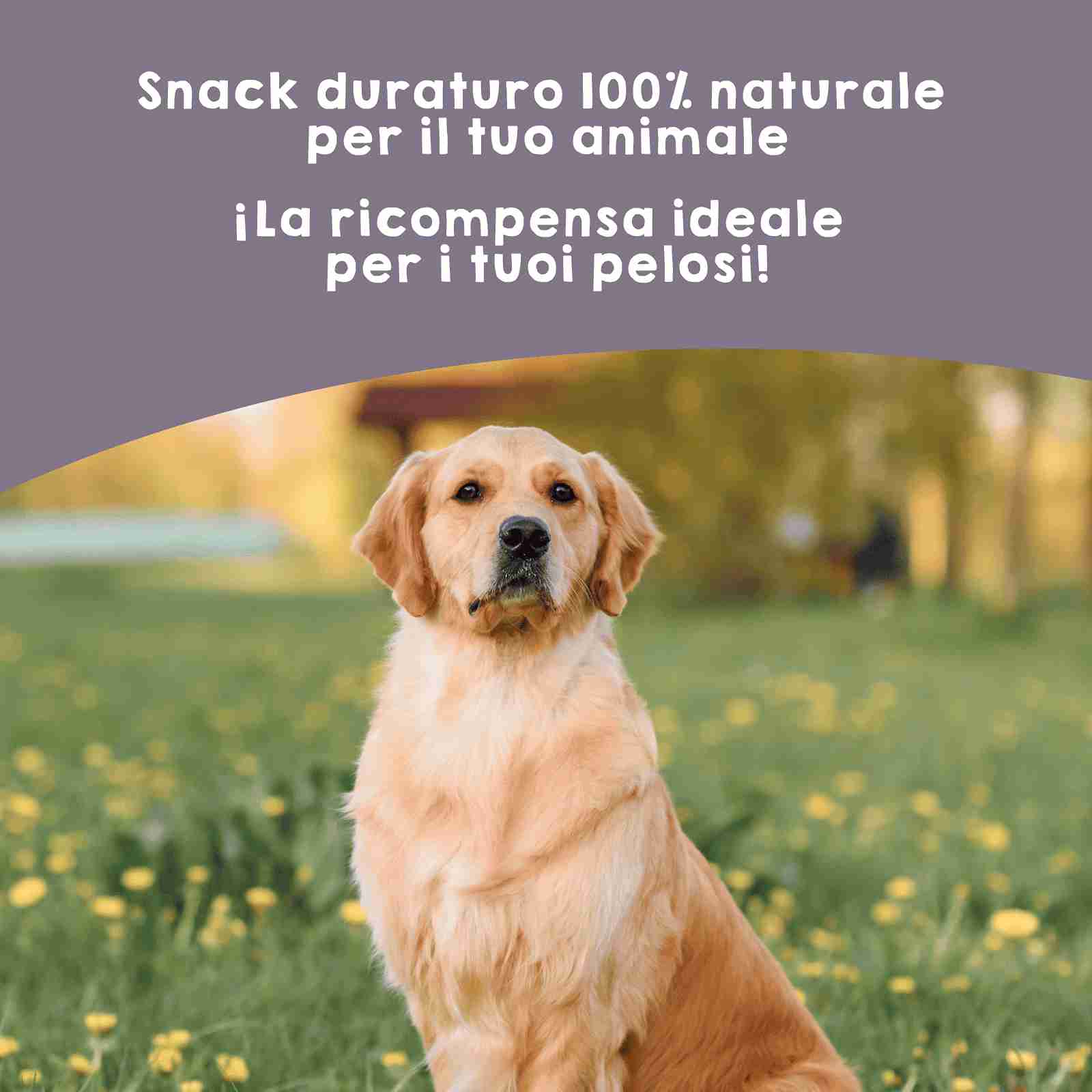 Snack naturale di coda di toro per cani