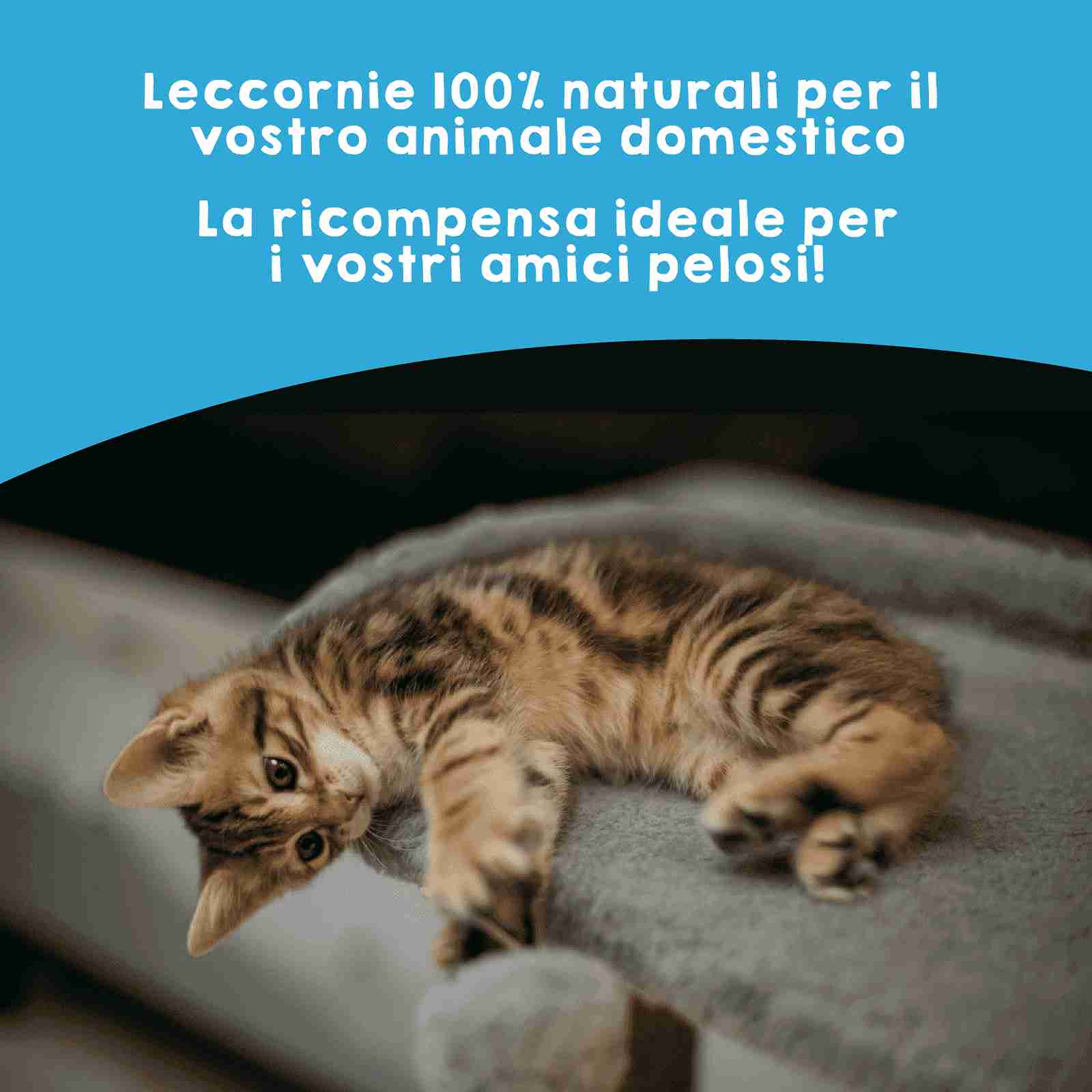 Snack naturali di pesce per cani e gatti come premio