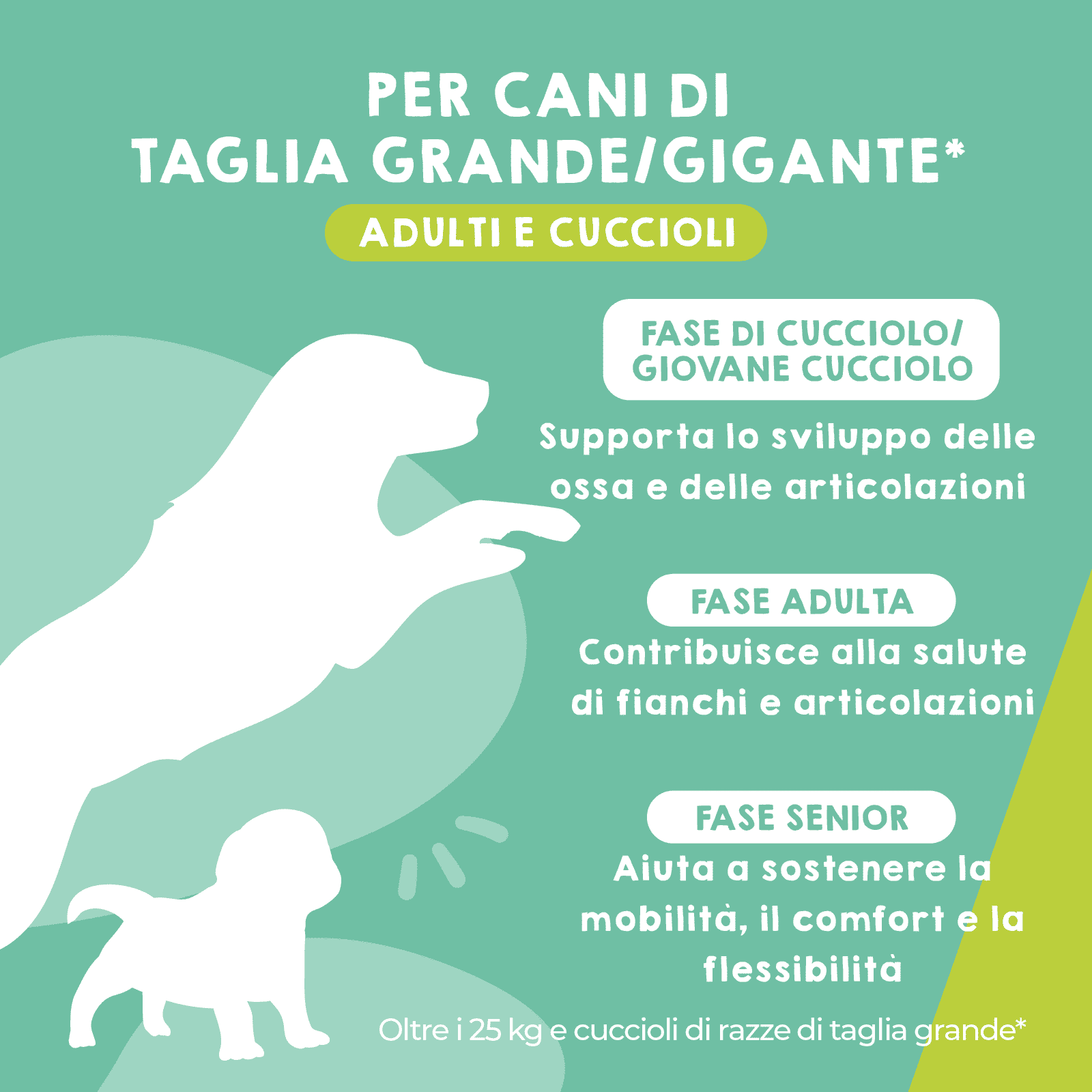 Supporto per le articolazioni dei cani di taglia grande