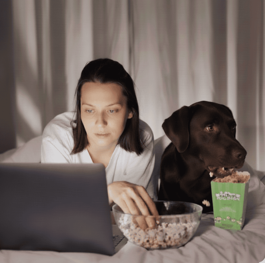 Perro disfrutando de palomitas de queso del Himalaya de Maikai Pets, un snack natural, crujiente y saludable elaborado con leche de yak y vaca.