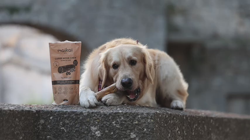 Perro jugando y masticando un mordedor natural, disfrutando de un snack saludable y duradero.