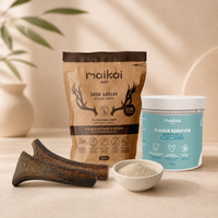 Rutina de Higiene Dental para Perros