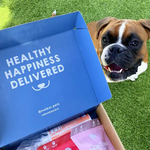 Maikai Pets Regalos perros cajas chuches perros aceite de salmon dieta barf perros felices