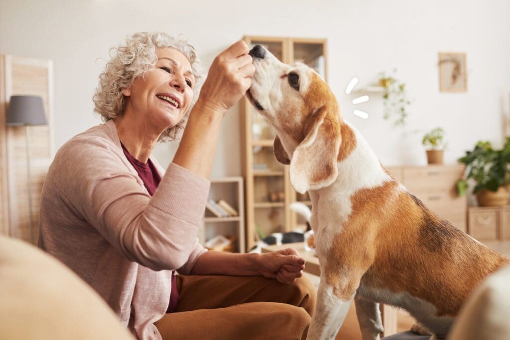 Thérapie assistée pour les personnes âgées avec des animaux
