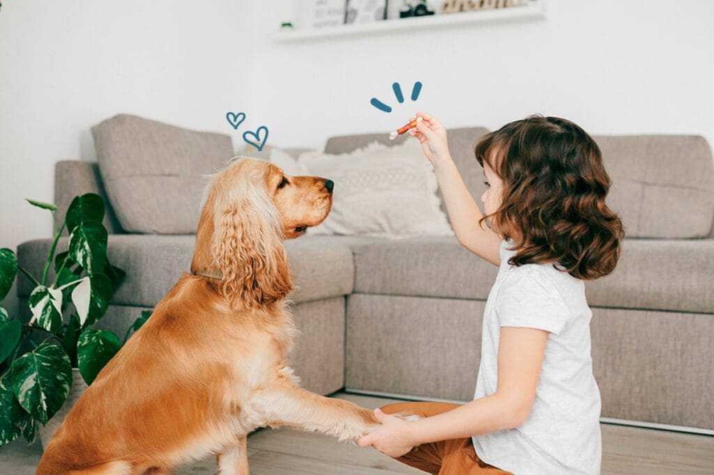 Enfant donnant des friandises naturelles à son chien