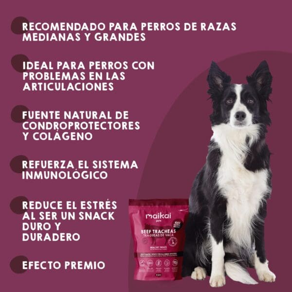 Beneficios chuches naturales perros traqueas de ternera deshidratadas