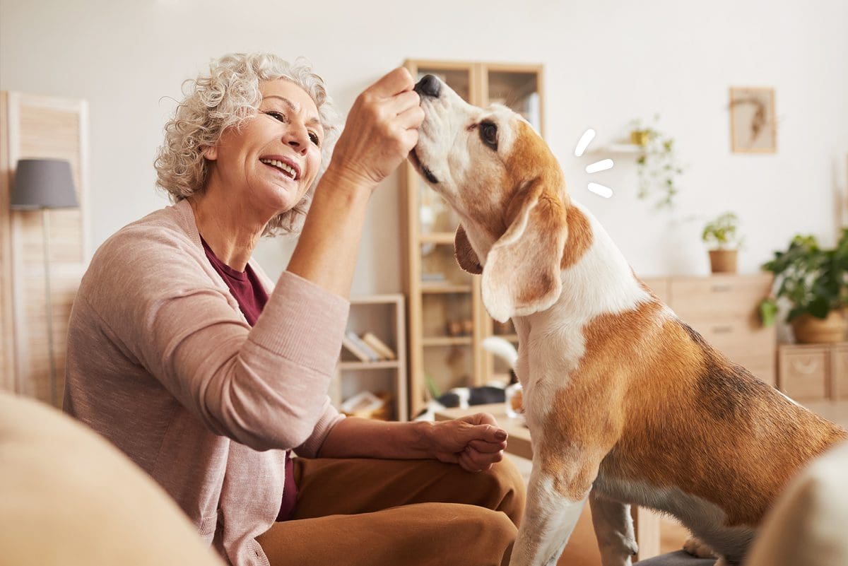 Persona mayor dando una chuche a un perro de terapia