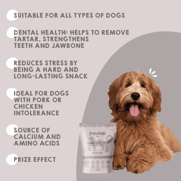 benefits of natural dog treats lamb's trotters