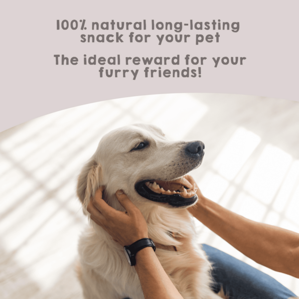 natural sweets for dogs lamb's trotters