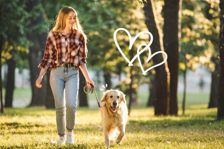 full length view of girl in casual clothes walking with golden retriever on meadow in sunlight