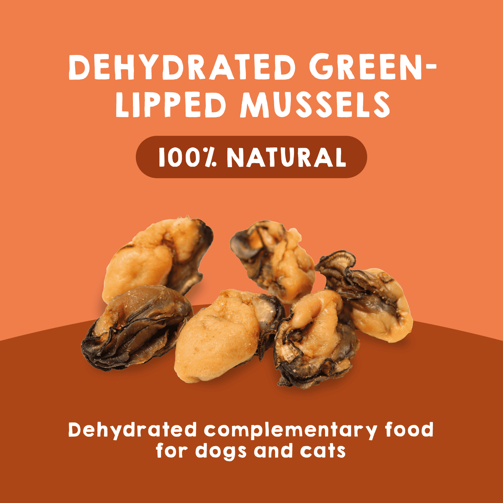GREEN-LIPPED MUSSELS