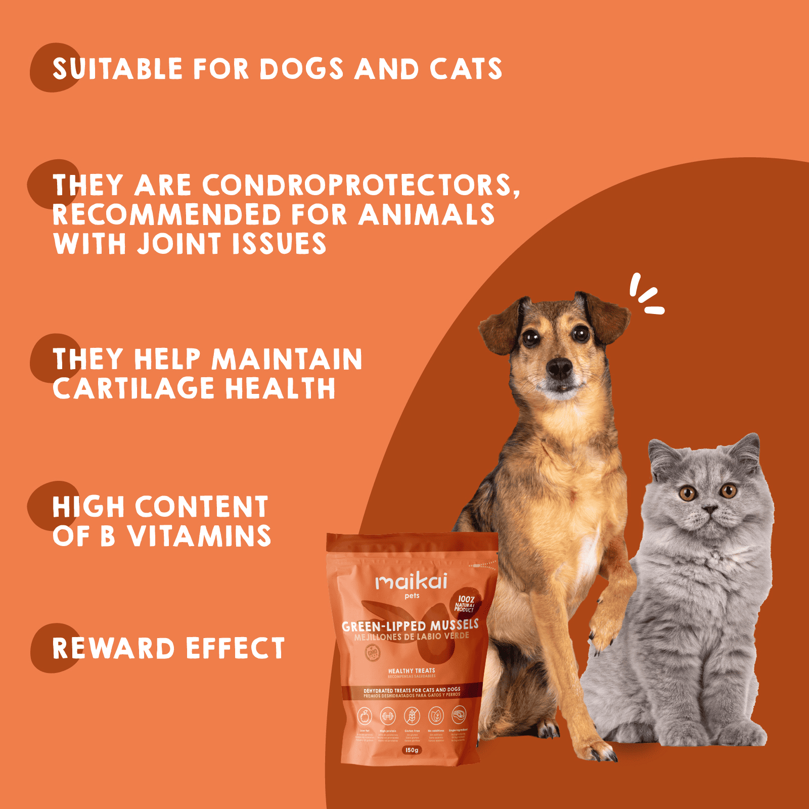 GREEN-LIPPED MUSSELS