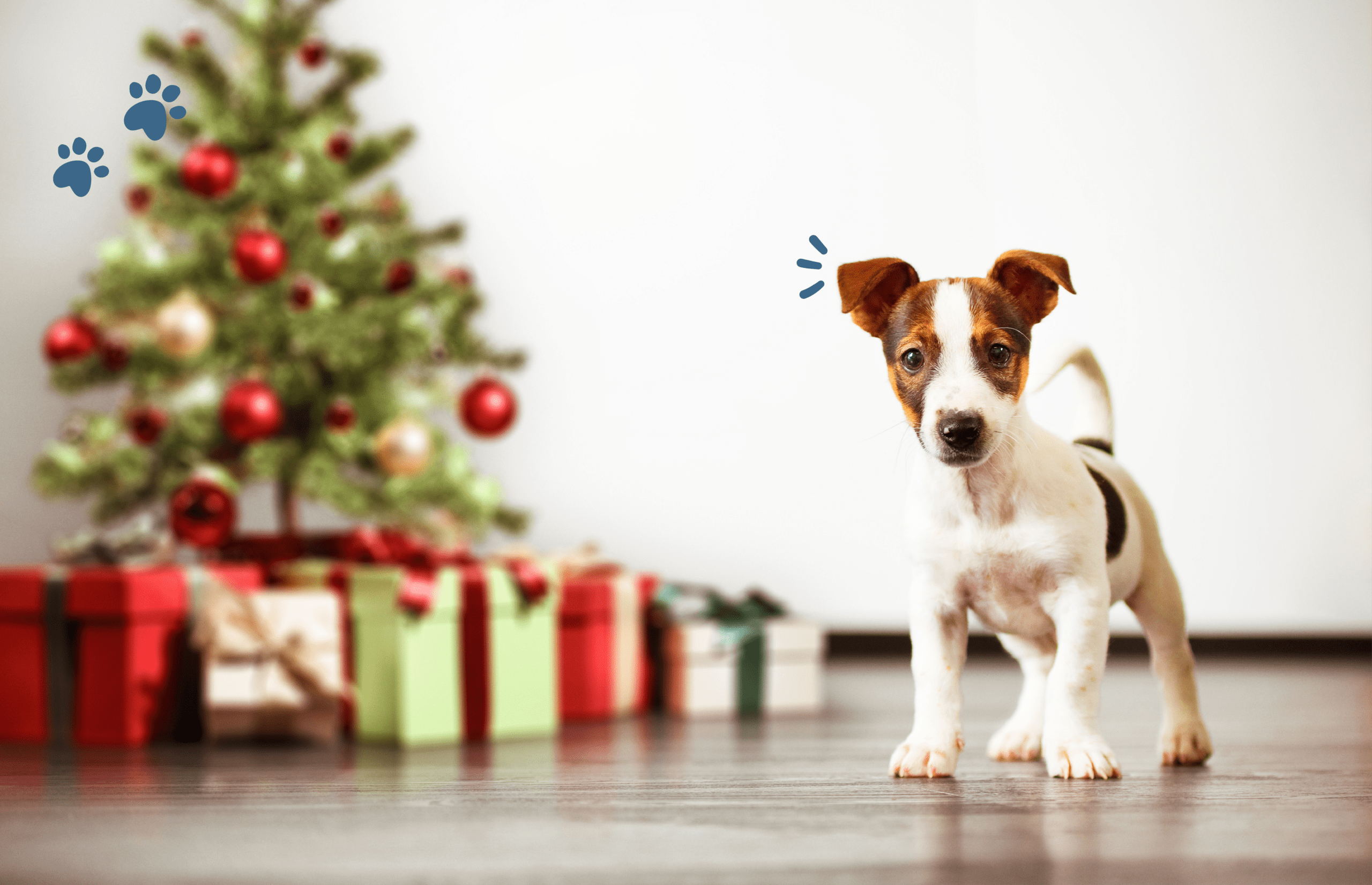 Cachorrito de perro delante del árbol de navidad lleno de regalos