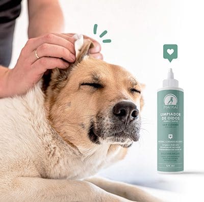 Higiene y cuidado mascotas
